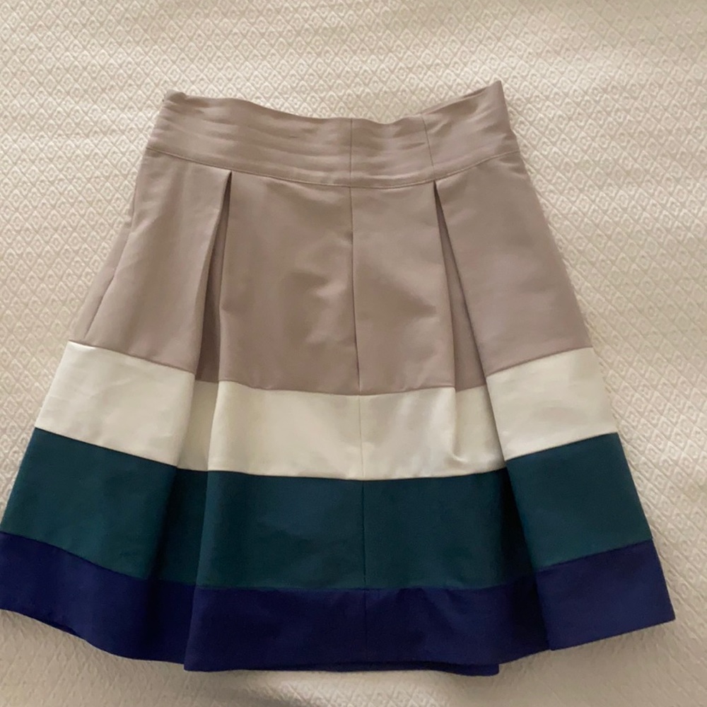 Zara Aline pleated skirt